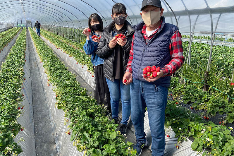 たくさん味わってください！