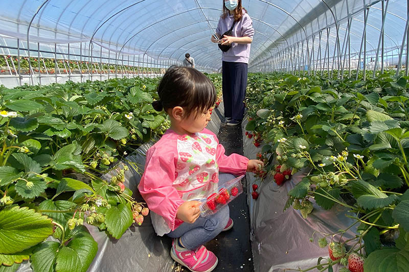 自分でちゃんと摘めるね