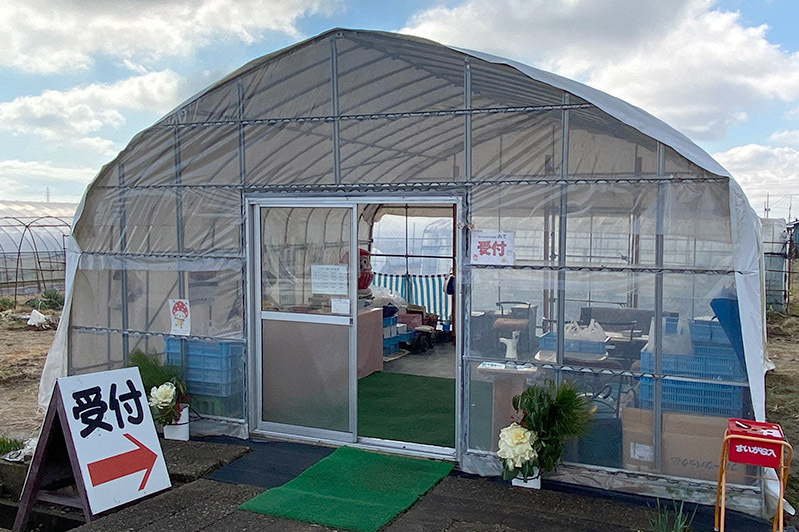 お土産苺はここで注文してね