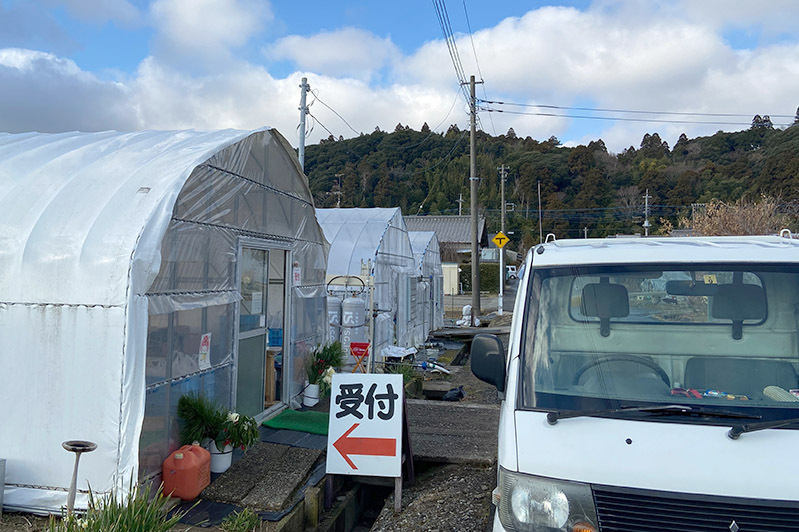 ここが苺狩り受付です