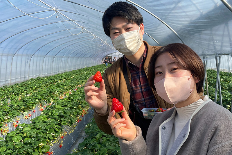 摘んだ苺の食べ歩きOKです