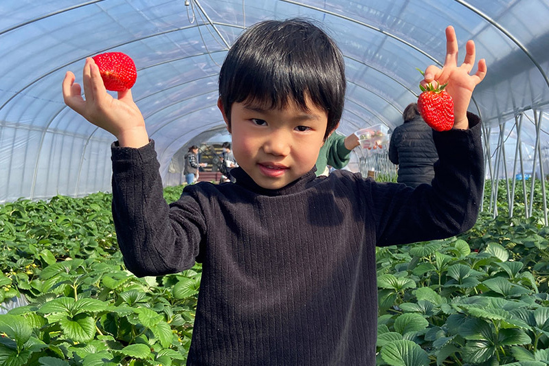 すごい大きなの見つけたね