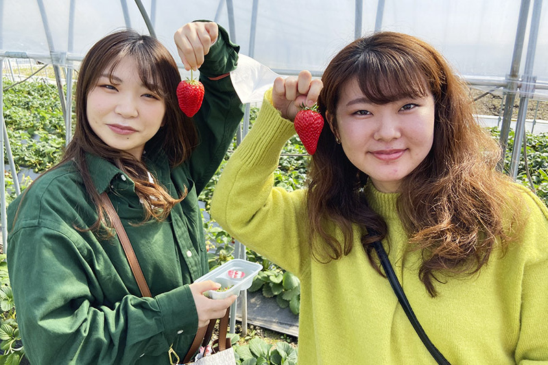 あま〜い苺を召し上がれ