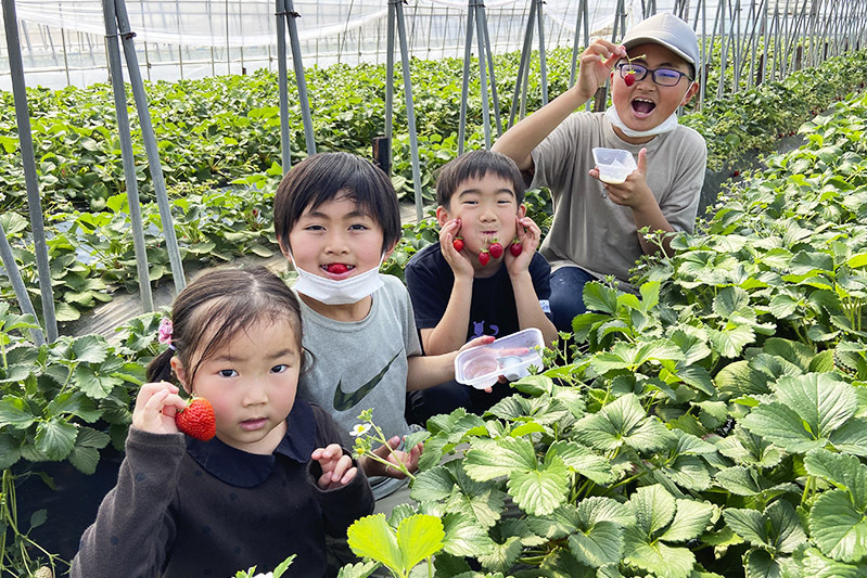 ノリノリで苺狩りのキッズ
