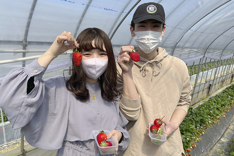 完熟苺たくさん食べてね