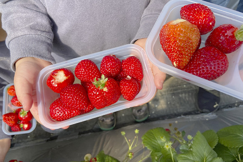 席でゆっくり食べるのも良し