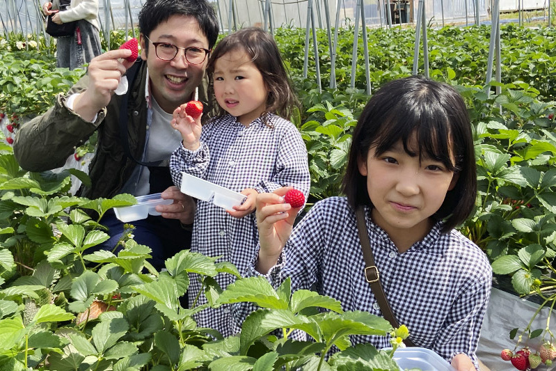 苺は美味しかったでしょうか?