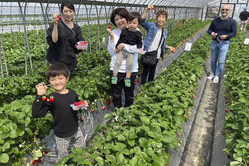 大きな苺が山盛りです