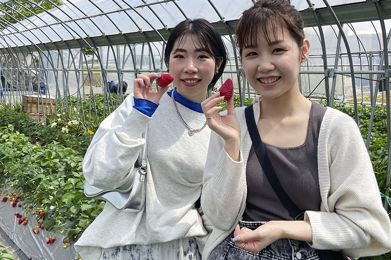 あま〜い苺を召し上がれ