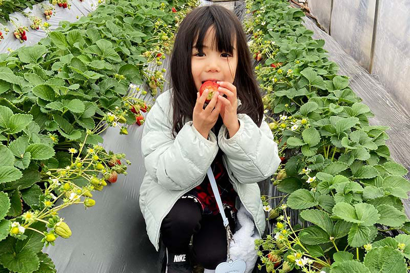 完熟苺は甘いね〜
