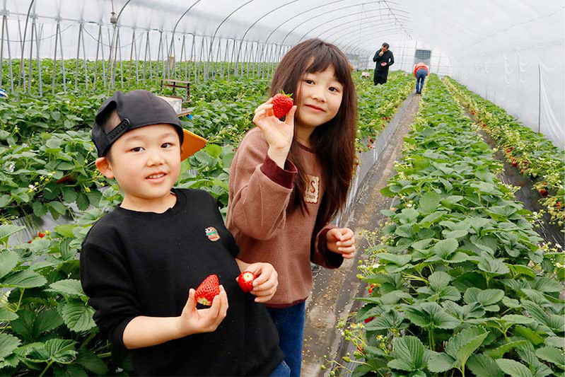 どれも甘いねー