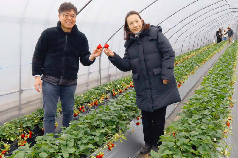 また完熟苺を味わいに来てね