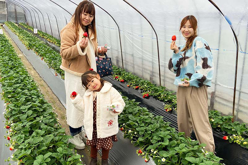 ゆっくり食べていってね