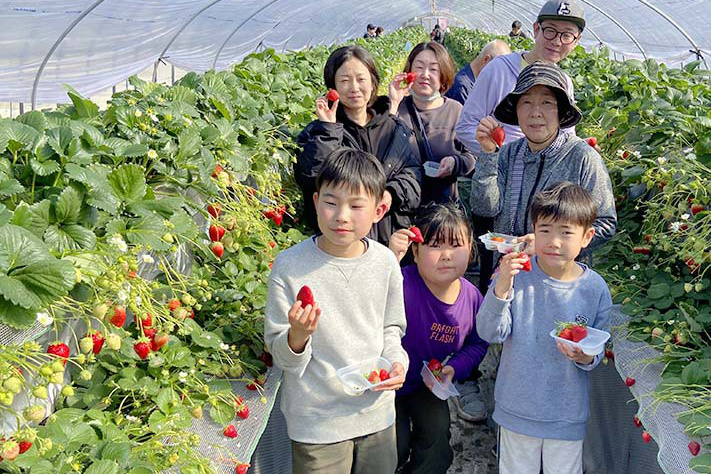 高設は摘みやすいですね