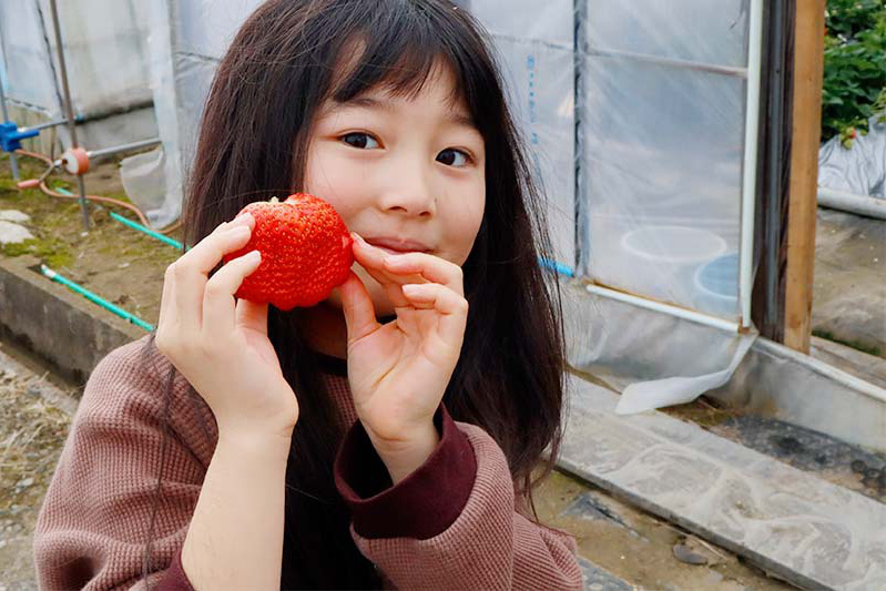 すごい苺発見！
