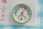 ハウス内の温度は26度